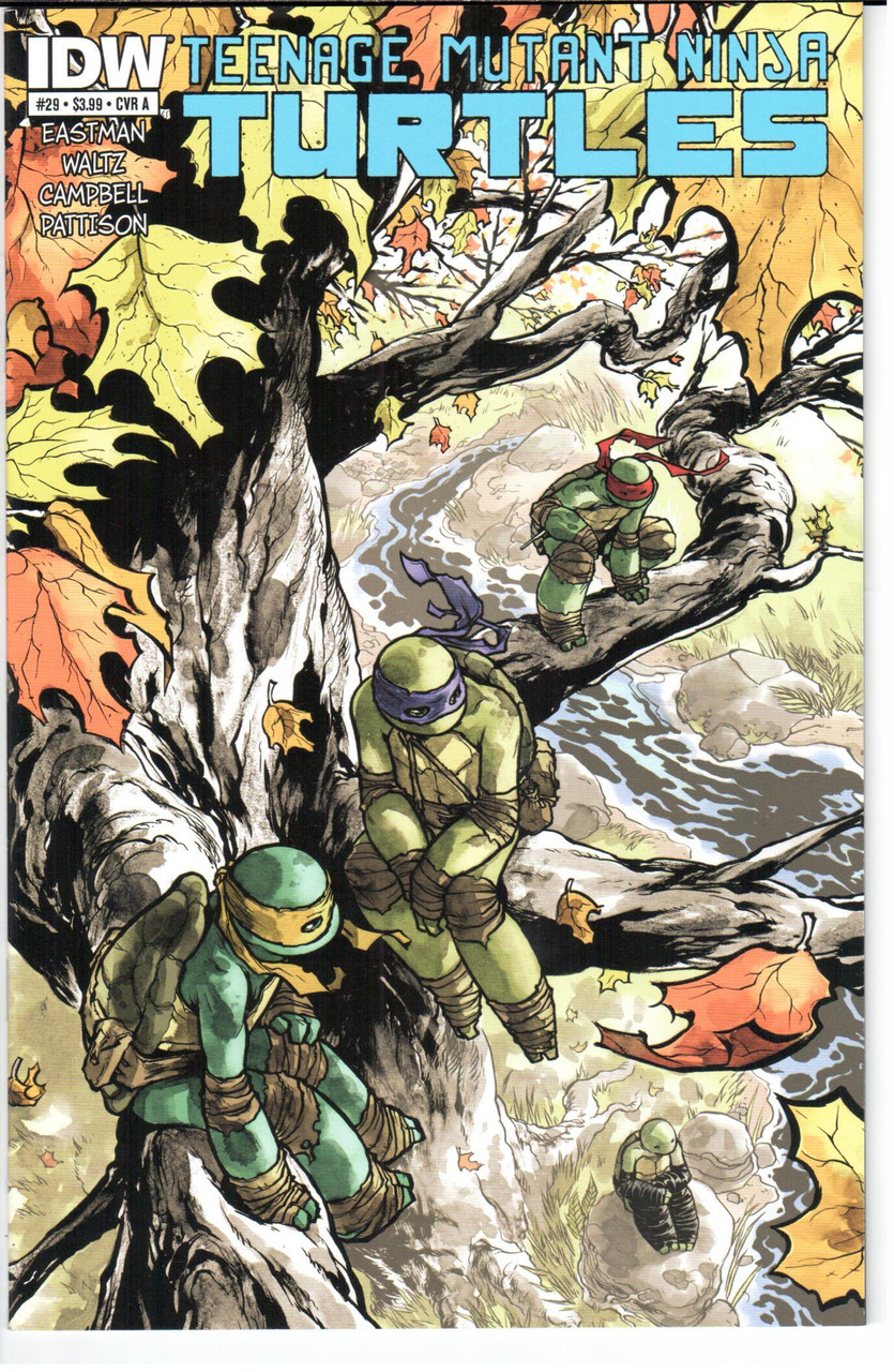 Teenage Mutant Ninja Turtles TMNT (2011 Series) #29A NM- 9.2