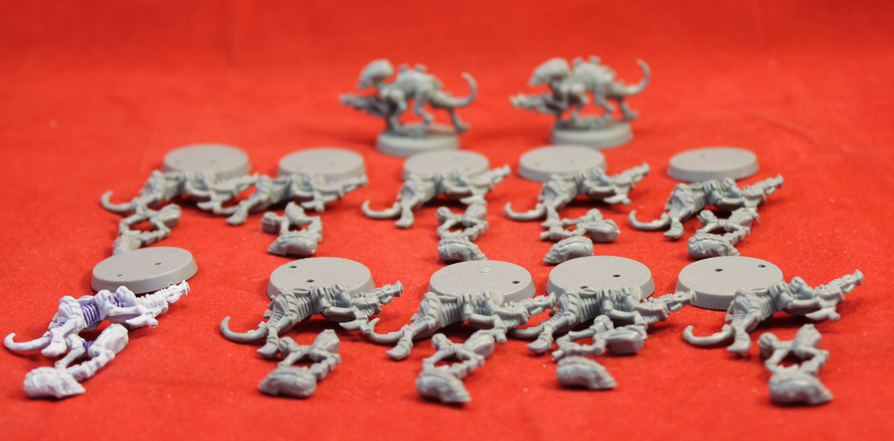 Warhammer 40K-Tyranid-Termagant Brood X12 - Plastic - Lot 101