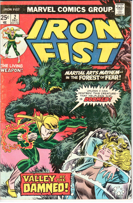 Iron Fist (1975 Series) #2 FN- 5.5 Iron Fist (1975 Series) #2 FN- 5.5