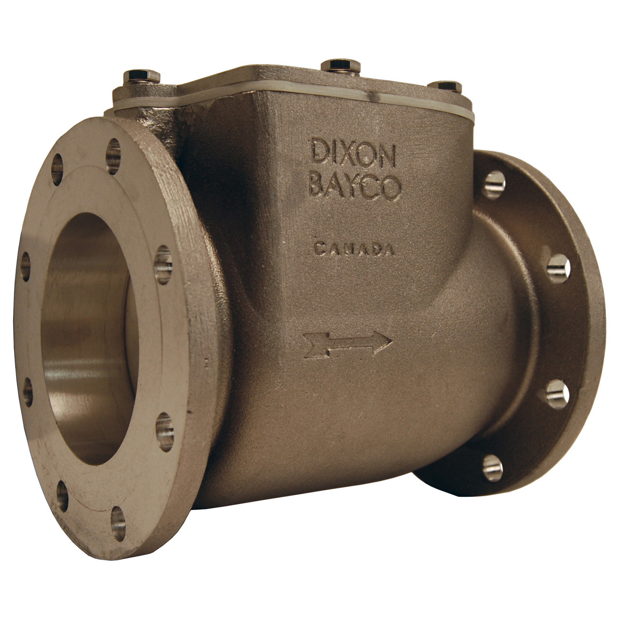 Dixon Bayco 3030 Series 3 in. Round TTMA High Flow Swing Check Valves w