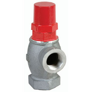OPW 199ASV Anti Siphon Valve 2 in. NPT - 5 ft. To 10 ft. - John M