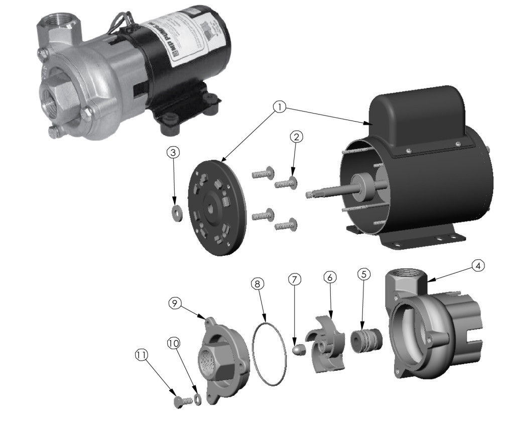 MP Pumps FRX 75 Pump Replacement Parts - O-Ring - 8 - John M