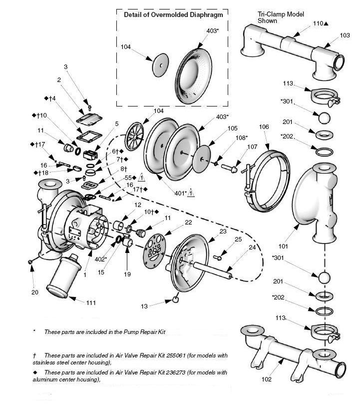 Graco SaniForce 1590 FDA Diaphragm Pump Parts John M. Ellsworth Co. Inc.