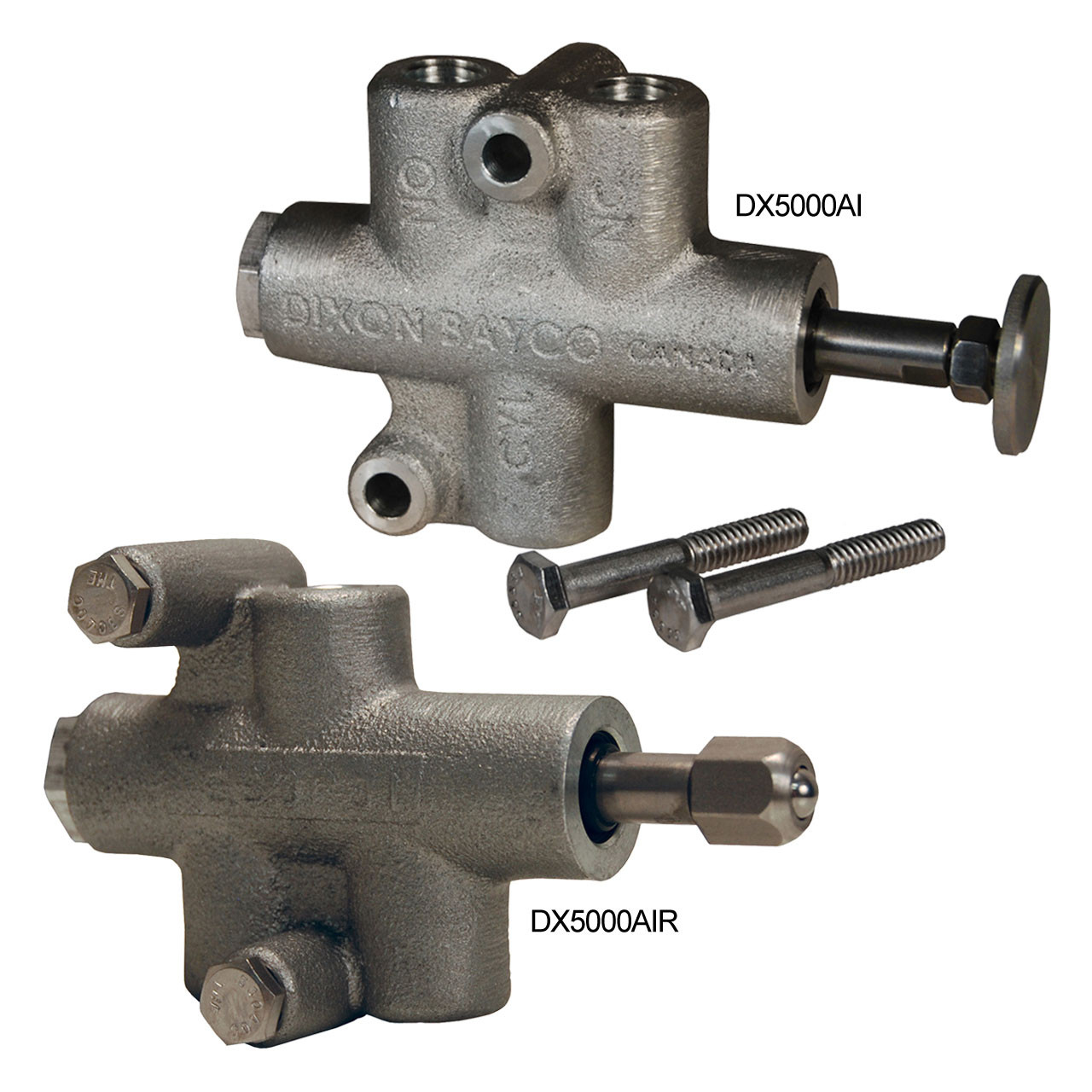Dixon Bayco Air Interlock Valves - John M. Ellsworth Company