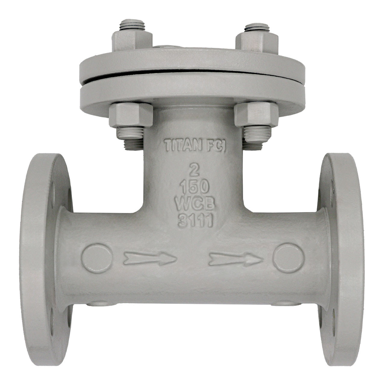 Titan Flow Control 2 in. Flange End Carbon Steel Tee Type Strainer