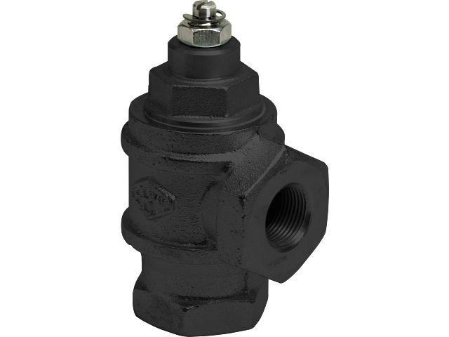 Franklin Fueling Systems 1 1/2 in. NPT Anti-Siphon Valve for Above