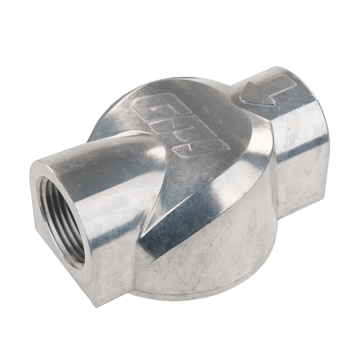 GPI 129420-27 25 GPM 1 in. NPT Filter Kit w/ Aluminum Adapter