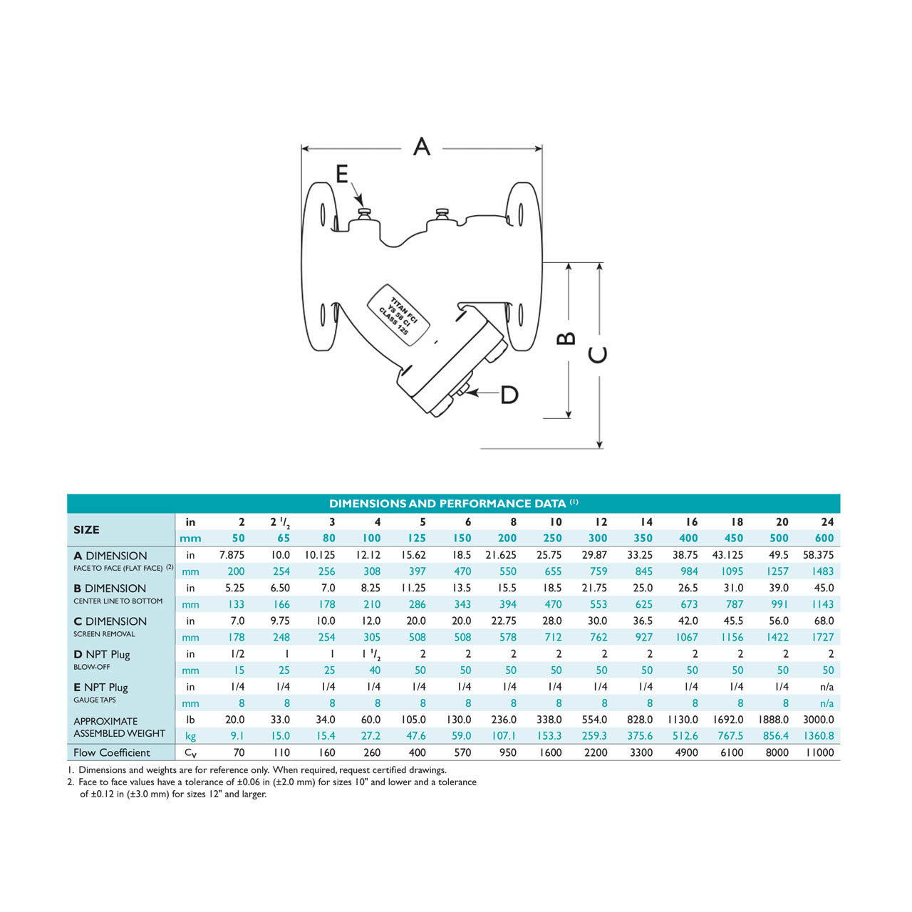 Titan Flow Control YS58I0600 6 in. Y-Strainer, Flanged, Cast Iron