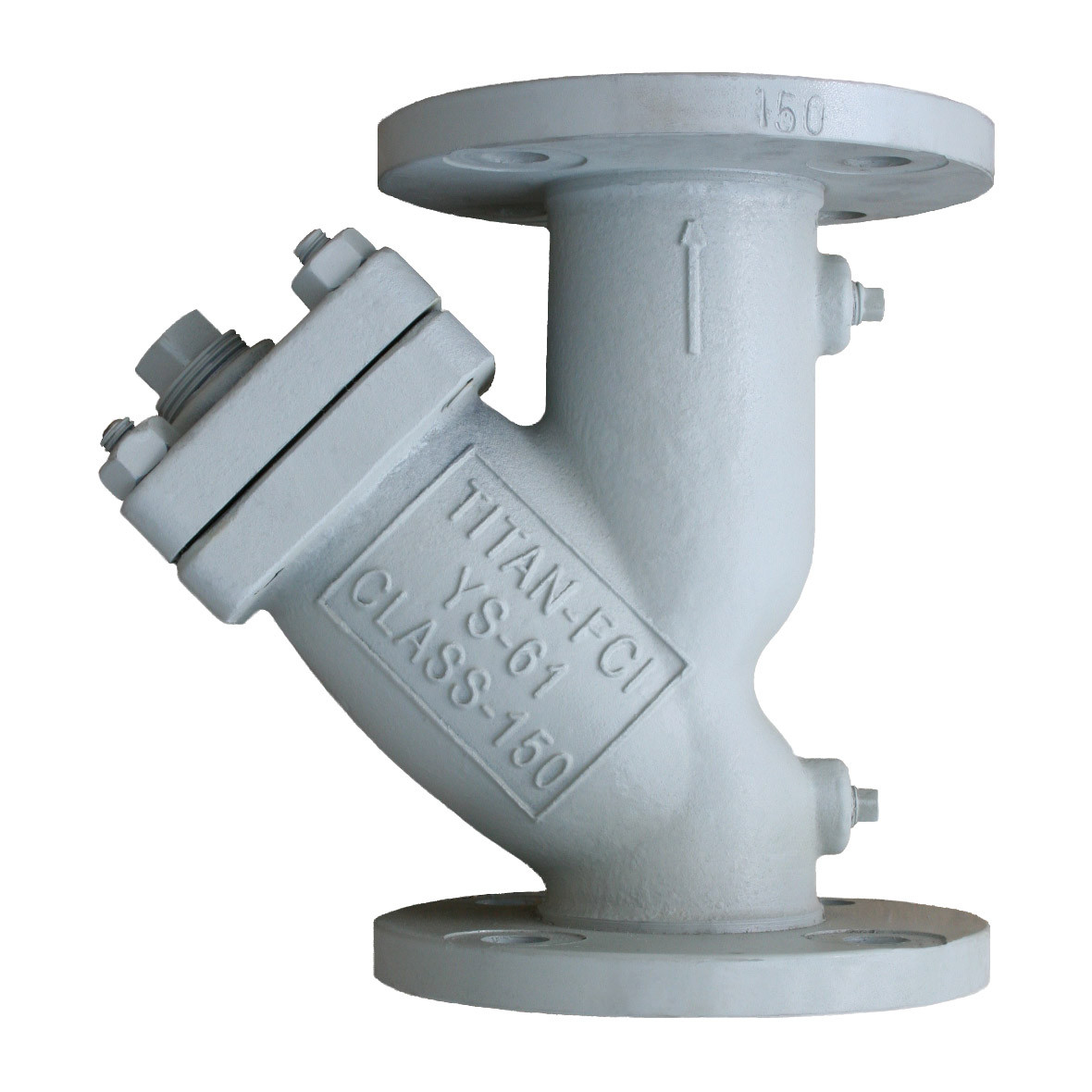 Titan Flow Control YS61C0400 4 in. Y-Strainer, Flanged, Carbon
