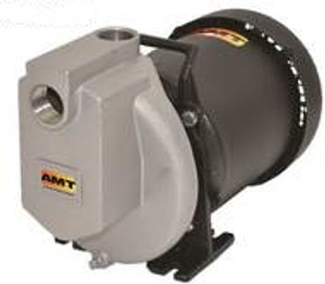 AMT 429B98 1 in. Self-Priming Stainless Steel Centrifugal Pump