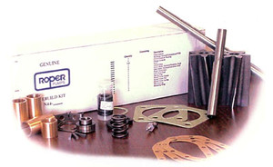 Roper Pumps 3600 Series Rebuild Kits - 3622 HB - Standard Kit - PTFE