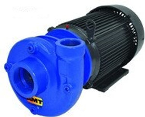 AMT 315B95 Heavy Duty Cast Iron Straight Centrifugal Pump