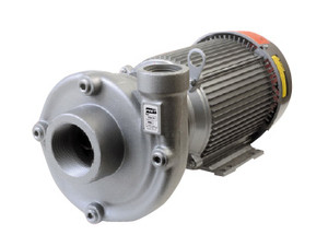 AMT 315298 Heavy Duty Stainless Steel Straight Centrifugal Pump