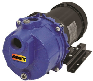 AMT 1SP05C3P 1 in. Cast Iron Self-Priming Centrifugal Chemical Pump