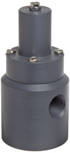 Plast-O-Matic Series RVD 1/4 in. Poly Angle Pattern Relief Valves w/ Viton Seals