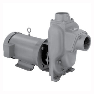 MP Pumps Models PO 10, PG 10 and PE 10 Replacement Pump Parts - 36173 - Seal - 1.5" VITON CARS/NRS T-21