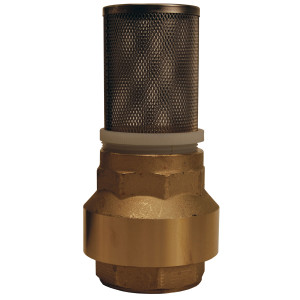 Dixon Strainer with Spring Loaded Check Valves
