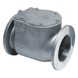 Morrison Bros. 246 Series 2 in. NPT Threaded Swing Check