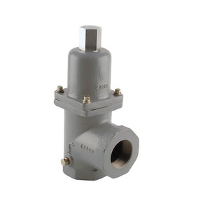 Emerson Fisher N100 Series 1 in. FNPT Bypass Valve, 25 - 75 PSID Spring