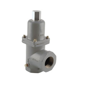 Emerson Fisher N100 Series 2 in. FNPT Bypass Valve, 25 - 75 PSID Spring