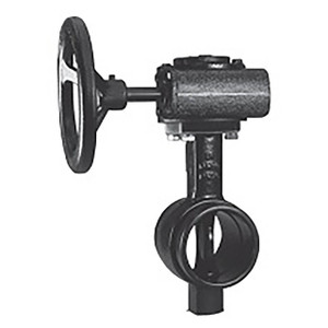 Shurjoint SJ-300N-W Series Grooved Butterfly Valve w/Worm Gear Operator Handle, EPDM Disc