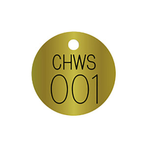 Marking Services BVT "CHWS" Chilled Water Supply Round Brass Valve Tags, w/Top Hole Mount, Priced Each