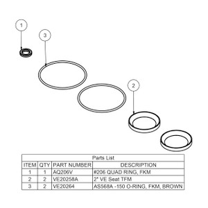 Banjo EVX20200 2 in. EVX Bolted Valve Repair Kit