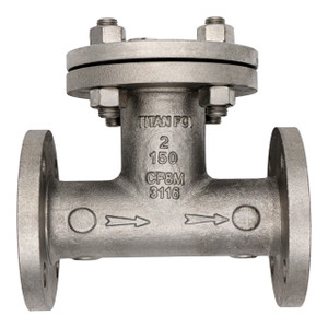 Titan Flow Control 2 in. Flange End Stainless Steel Tee Type Strainer