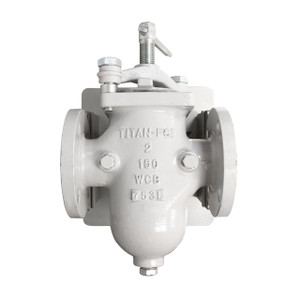 Titan Flow Control BS85LC0200 2 in Simplex Basket Strainer w/ Clamp Cover & Perforated Basket 10 Mesh, Carbon Steel, Flanged - Class 150