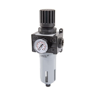 BadgerLube 1/4 in. Pressure Regulator w/ Filter and Gauge