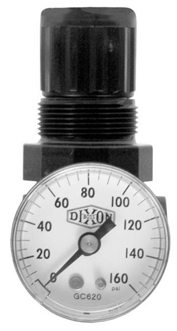Dixon Series 1 R07 1/8 in. Mini Regulator With Gauge