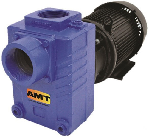 AMT 287495 3 in. Cast Iron Self-Priming Centrifugal Pump