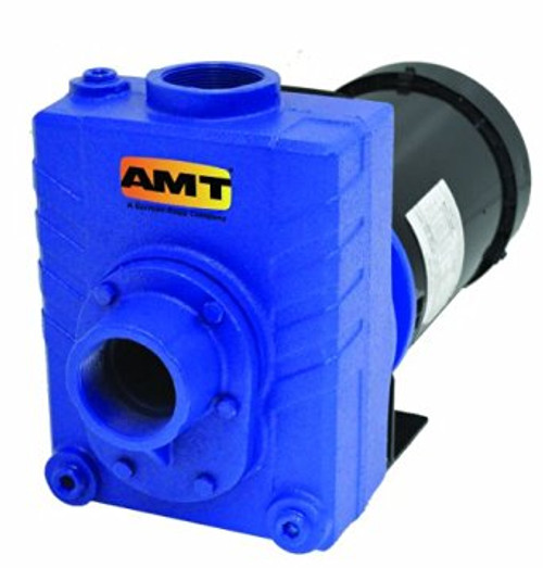AMT 276A95 2 in. Cast Iron Self-Priming Centrifugal Pump