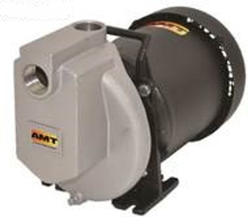 AMT/Gorman-Rupp 1 in. Self-Priming Stainless Steel Centrifugal Pump