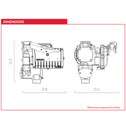 PIUSI F0039141 EX80CD Series Heavy Duty 120V AC Powered Transfer Pump w/  Auto Nozzle - Basic Kit - John M. Ellsworth Co. Inc.