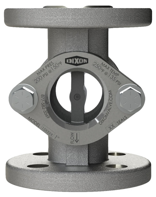 Dixon Series 15 Sight Flow Indicator 2 in. #150 TTMA Flange FKM Seal Ryton Flapper
