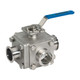 Dixon Sanitary Muti-port 3-way Sanitary Stainless Steel Ball Valves - 3/4 in. - 'L' Port