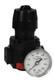 Dixon Wilkerson 1/4 in. R16 Compact Regulator With Gauge