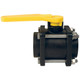 Dixon 3/4 in. Polypropylene 4-Bolt Ball Valves