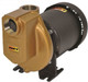 AMT 389497 Bronze Self-Priming Centrifugal Chemical Pump