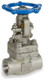 Sharpe Stainless Steel Class 800 Reduced Port 1 1/4 in. Threaded Gate Valve