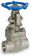 Sharpe Stainless Steel Class 800 Reduced Port 1/2 in. Socket Weld Gate Valve