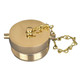 2 1/2 in. NH(NST) Dixon Brass Plug & Chain - Pin Lug (Polished)