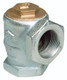 Franklin Fueling Systems EBW 2 in. Angle Check Valve