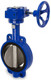 Sharpe 17 Series 2 in. Ductile Iron Gear Operated Butterfly Valve w/Nitrile Rubber Seals & SS Disc, Wafer Style