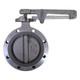 Liquip 4 in. Aluminum  Butterfly Valve w/ Viton Seals & Disc, TTMA Flange