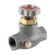 Emerson Fisher Type N350 3/4 in. FNPT Economy Globe Valve