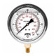 Winters PFQ Series 2 1/2 in. Stainless Steel Liquid Filled Gauge w/ Brass Internals & 1/4 in. Back Mount