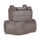 Dixon Class 800 Forged Steel Check Valve