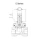 Granzow E Series 1/2 in. Normally-Closed Brass General Purpose Two-Way Solenoid Valve w/ Viton Seal - 24 Volt DC